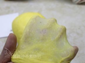 继续一个揉面程序，揉至扩展阶段，面团能拉出较薄的膜即可，不需要到手套膜。