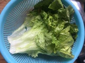 生菜洗净备用；