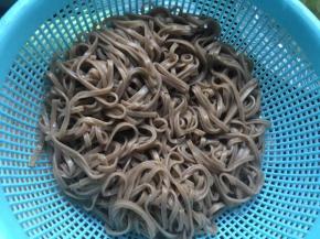 捞出过凉水，并放入少许油防止粘连；