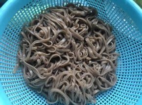 捞出过凉水，并放入少许油防止粘连；
