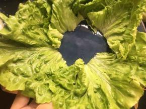 洗净的生菜择掉菜茎，依次放置碗边；