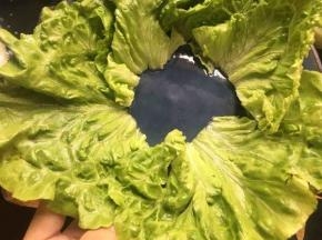 洗净的生菜择掉菜茎，依次放置碗边；