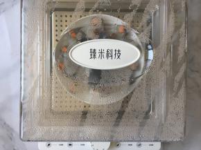 把鱼放在臻米蒸锅中蒸10分钟。