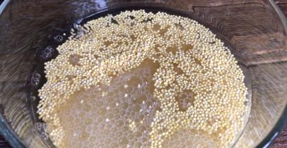 小米装入容器中，加入适量清水，浸泡半小时