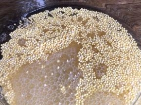 小米装入容器中，加入适量清水，浸泡半小时