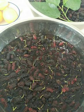 清水加适量盐冲洗，杀菌同时去除杂质。