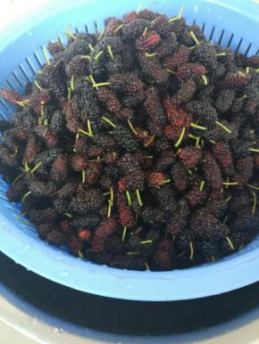 控干水分。我用的淘米筐控水，沥干水分就可以了。不需要晾的一点水都没有。之前做的一次是拿到太阳底下把水分晒干，成品一个月了没变质。这次是控干就好，已经28天了，也没变质。