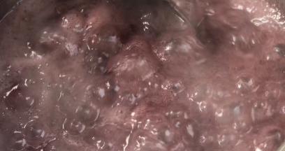 期间经常搅拌，以免粘锅，煮10分钟左右即可