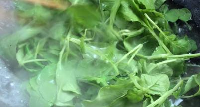 放入萝卜苗，大火煮沸迅速捞出