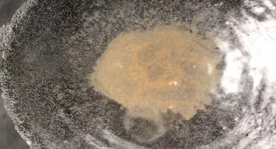 热锅倒入适量清水，加盐、胡椒粉烧开