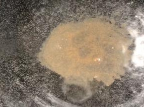 热锅倒入适量清水，加盐、胡椒粉烧开