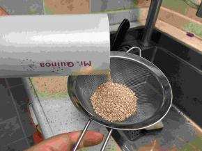 将这款来自西藏的超级干净的白藜麦放到漏勺，清洁一下浮尘！来自西藏高原的藜麦，仿佛蓝天白云飘浮来一样。