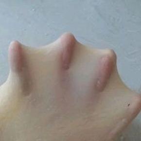 揉出这样的出膜状态就可以了，大约用了十五分钟左右