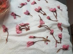 然后用厨房纸吸干水分。