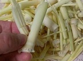 有的高瓜草底部嫩茎很粗，再给掰开，这样炒制容易入味