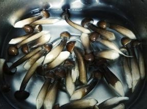 黑头鸡枞菌洗干净，焯水备用