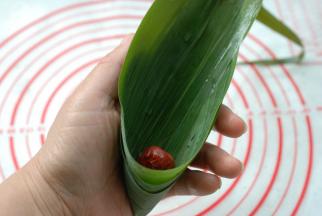 两手大拇指和食指夹住粽叶，向外自然弯曲，形成一个“漏斗”的形状，先放入一颗大枣，让大枣的小头冲下，这是包粽子不漏米的第4个小窍门。