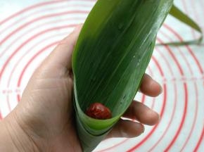 两手大拇指和食指夹住粽叶，向外自然弯曲，形成一个“漏斗”的形状，先放入一颗大枣，让大枣的小头冲下，这是包粽子不漏米的第4个小窍门。