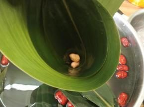 在底部放一两个花生，防止漏米。