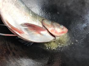 用手提着鱼尾，鱼头先煎一下，再全放进锅中，中火煎