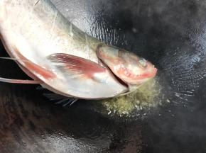 用手提着鱼尾，鱼头先煎一下，再全放进锅中，中火煎