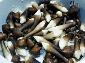 黑鸡枞菌清洗干净