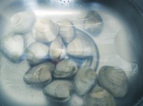 美国贝用盐浸泡一小时吐沙