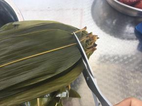 将泡好的粽叶减去叶的根部。