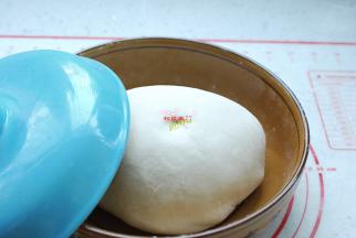 刚开始的面团会很粗糙、不够光滑，没关系的，过几分钟再揉一下，面团就会很柔润、很细腻了，馅饼的面团要比包子的面团软一些。盖上盖子，静置30分钟。