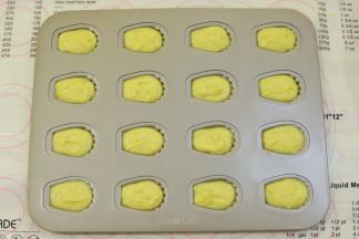 取出冷藏好的蛋糕糊，挤入12连的小玛德琳模内，每个玛德琳模大概8分满即可。