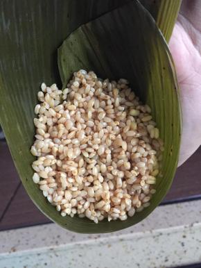 然后再加半勺去皮绿豆和1勺糯米，整体材料装8分满。