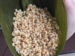 然后再加半勺去皮绿豆和1勺糯米，整体材料装8分满。