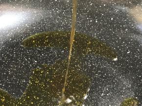 热锅倒入少许油