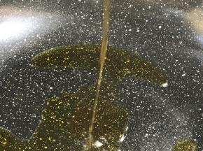 热锅倒入少许油