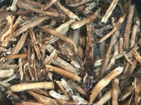 笋干提前浸泡一晚上，洗净后放入开水锅中煮五分钟，捞出沥水备用