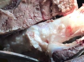 把猪骨浸泡半小时后洗净，放入鸡汤中熬煮