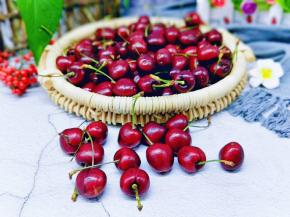 首先樱桃要选新鲜的，无烂无坏的。