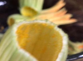 南瓜花掐去花蕊