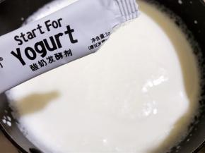 加入酸奶菌粉搅拌均匀