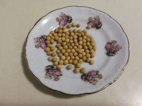 黄豆挑去破口霉变豆子