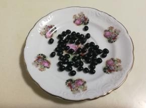 黑豆挑去杂质