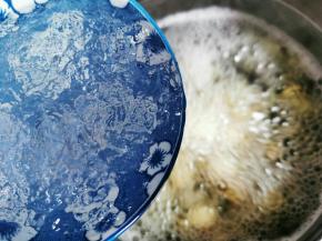 煮开后最后放入雪燕