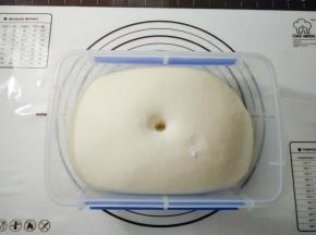 放入容器，发酵两倍大，手指粘面粉戳进面团不回缩不塌陷即可。