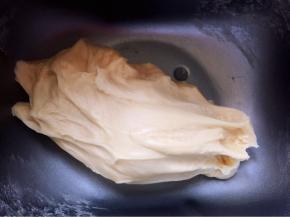 进行第一次发酵