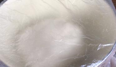 揉成面团，醒发10分钟