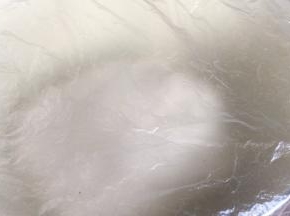 揉成面团，醒发10分钟