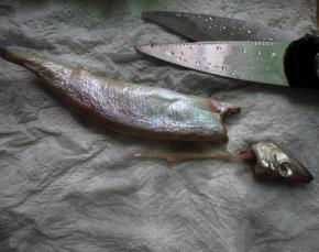 然后轻轻把鱼头和里面的肠子一起抽出，不要破开鱼肚，因为鱼籽都在肚子里面，破开肚子鱼籽就会漏出来了。