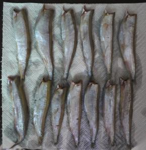 处理干净的多春鱼，用清水洗干净，然后沥干水份。可以用厨房纸把多余的水分吸干。如果水太多，下锅煎时会容易溅油，造成烫伤。