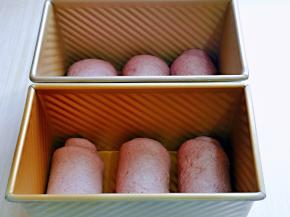 放入烤箱进行发酵，天冷可以放一杯开水，保持面包胚的湿度，发酵至9分满。