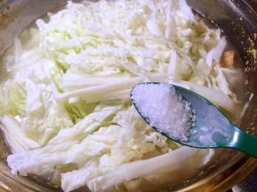 放入白菜丝和盐，煮5分钟左右